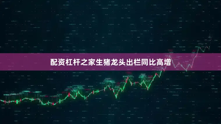 配资杠杆之家生猪龙头出栏同比高增